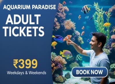 Adult Ticket - Aquarium Paradise
