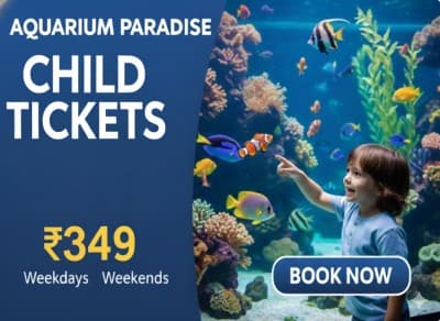 Child Ticket - Aquarium Paradise