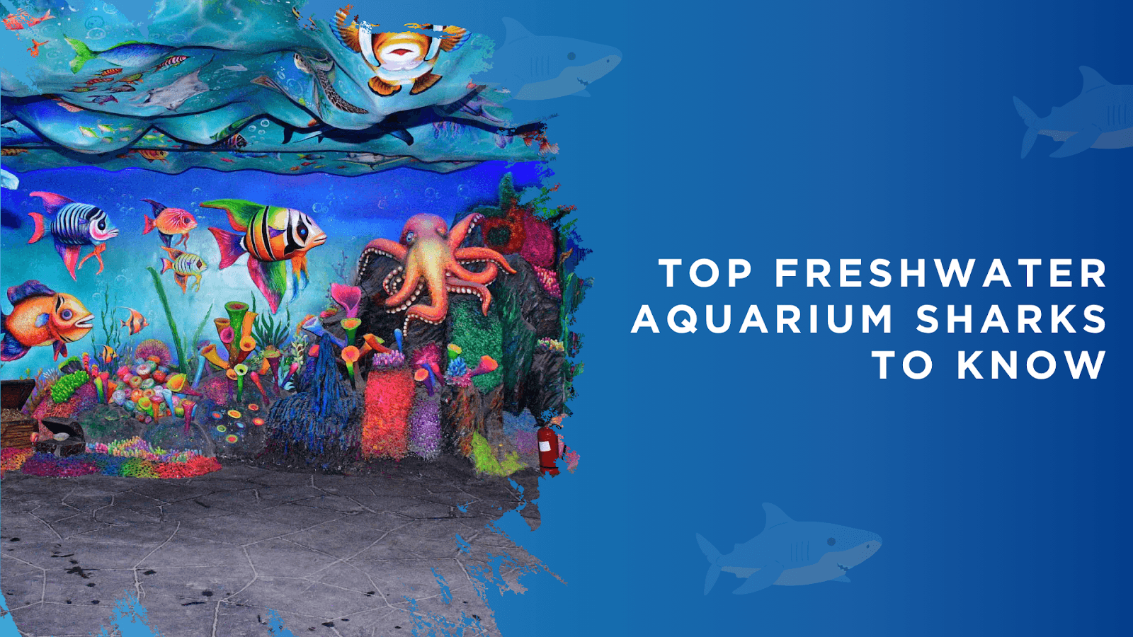 Scenic view inside Aquarium Paradise with marine life