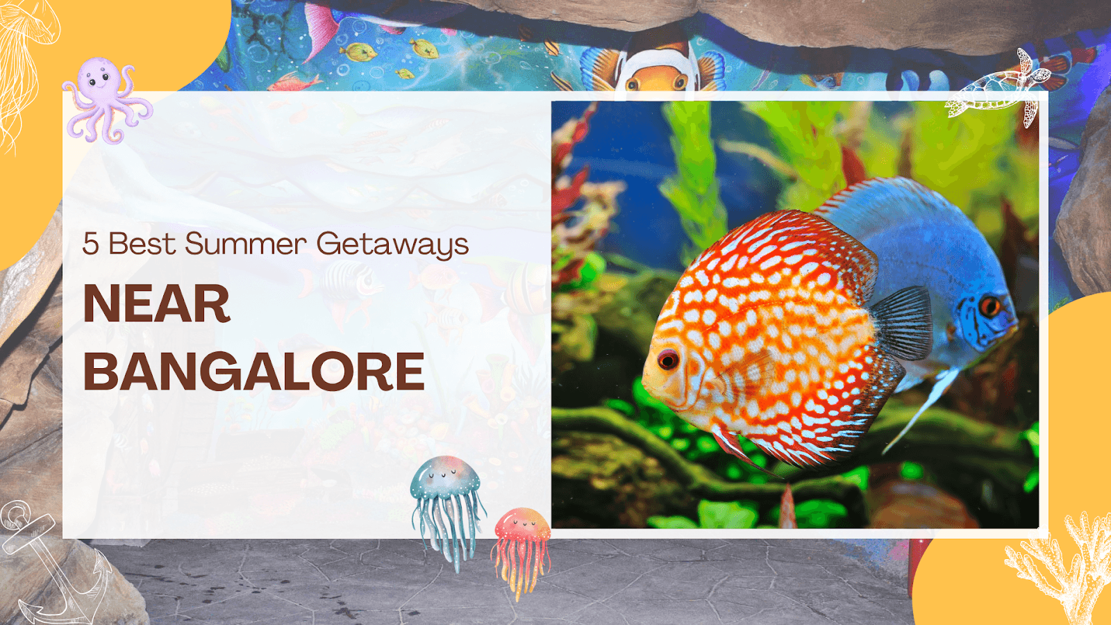 Scenic view inside Aquarium Paradise with marine life