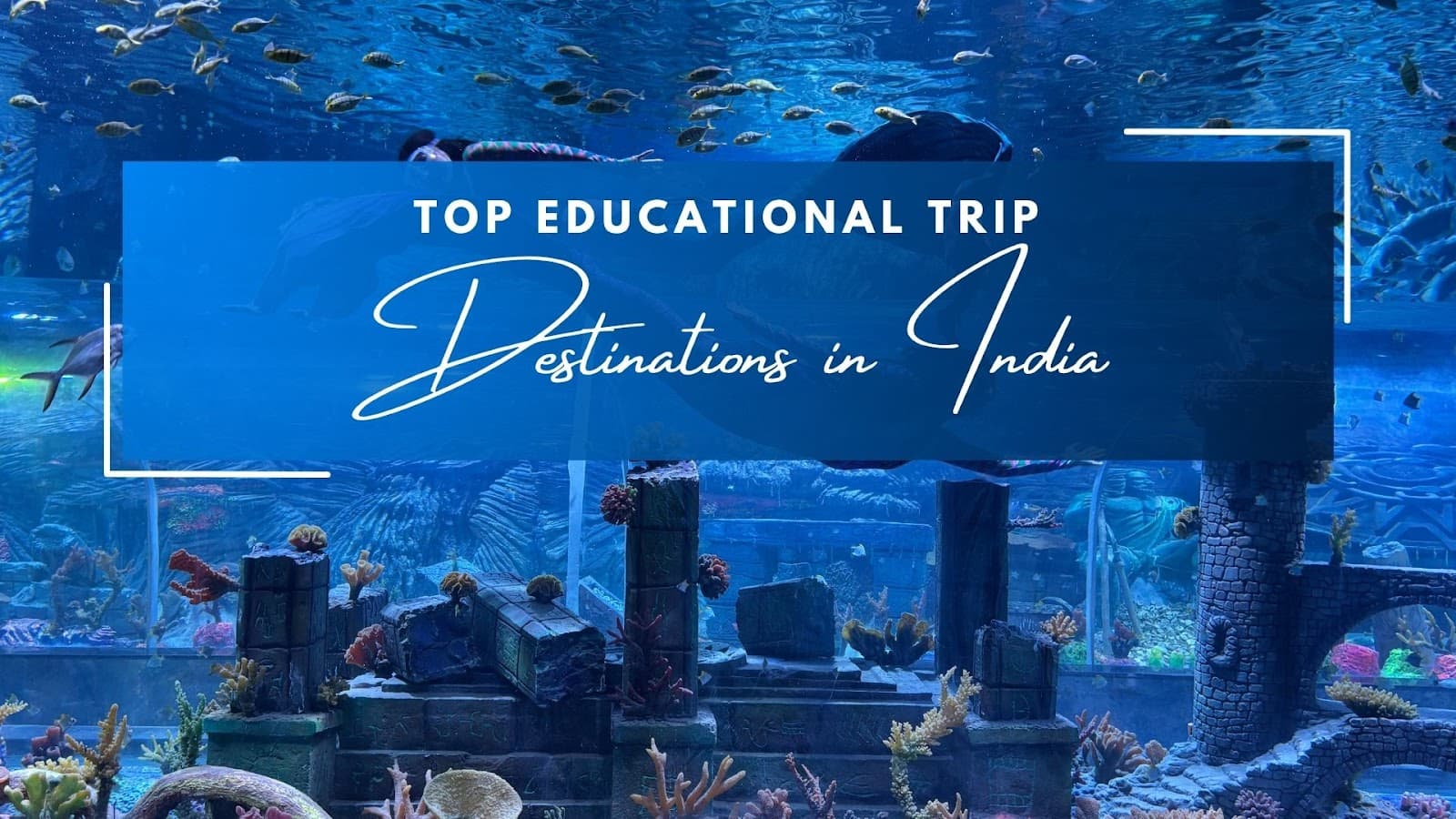 Scenic view inside Aquarium Paradise with marine life