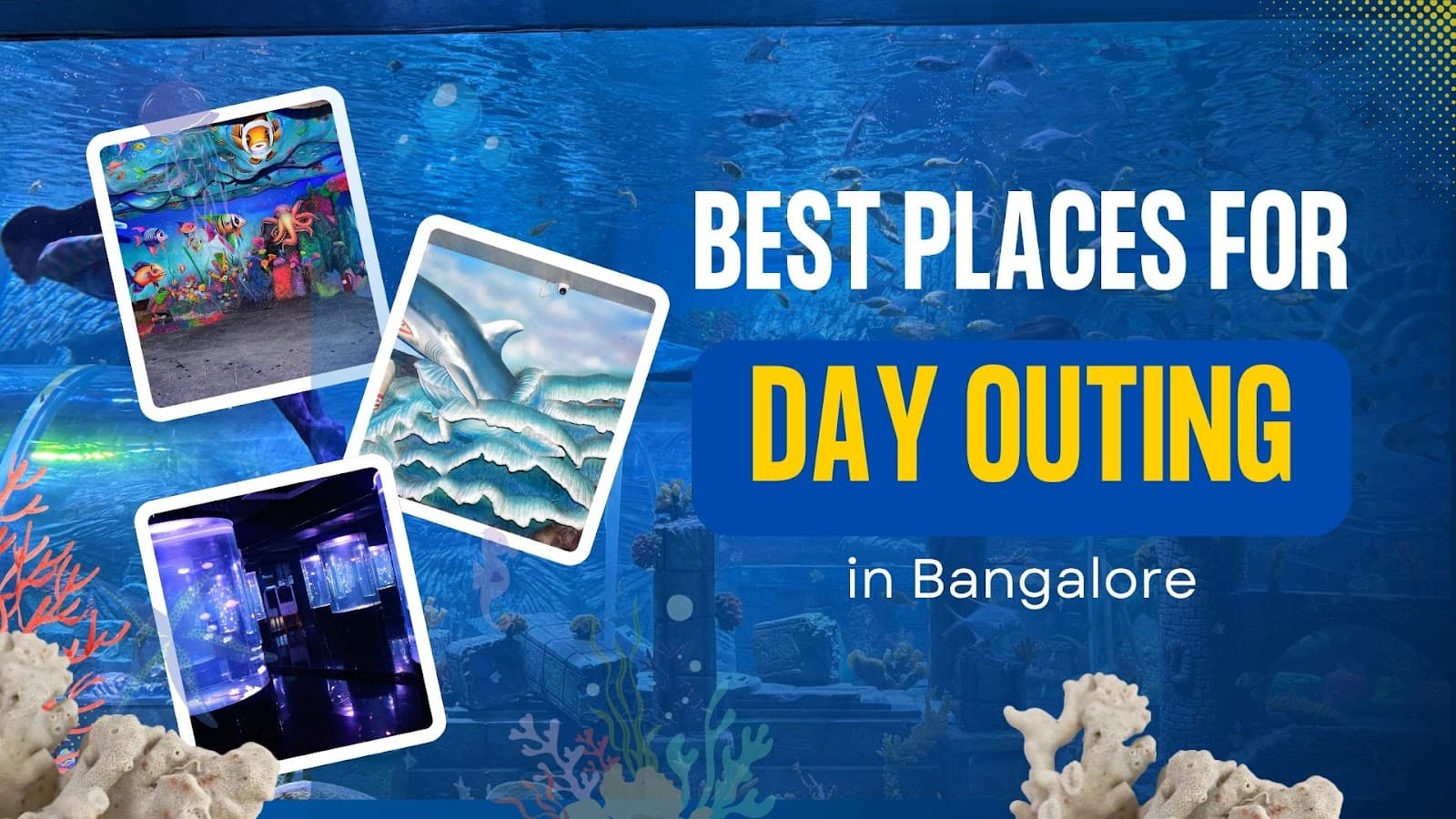 Scenic view inside Aquarium Paradise with marine life