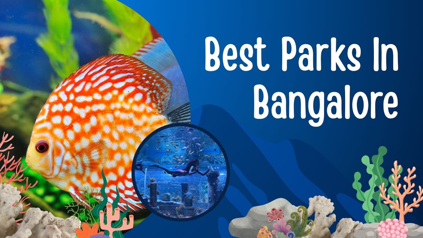 Scenic view inside Aquarium Paradise with marine life