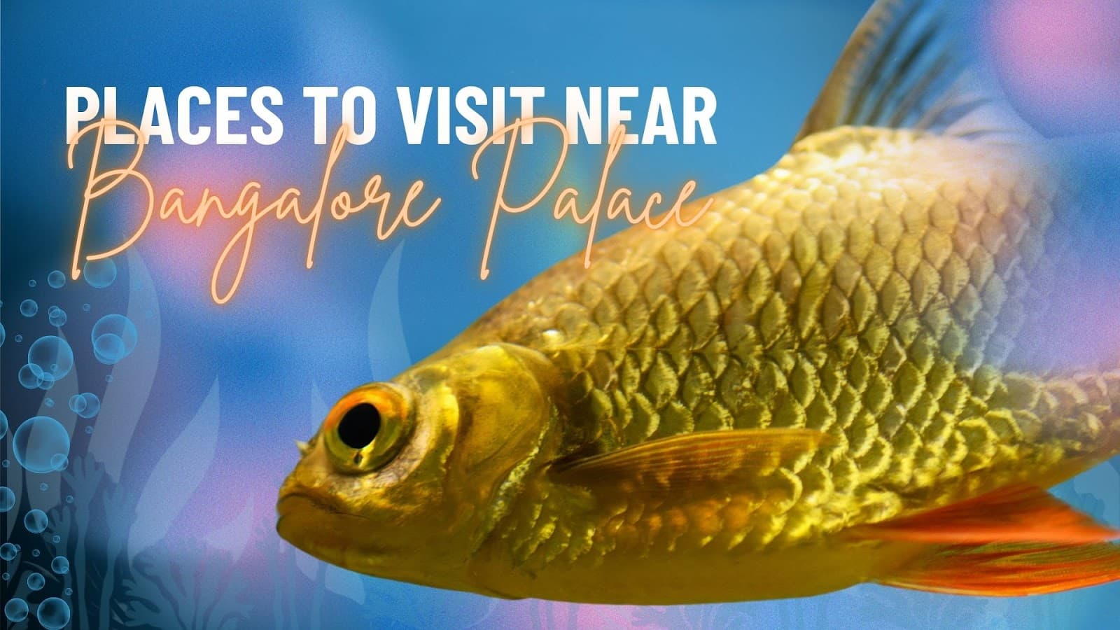 Scenic view inside Aquarium Paradise with marine life