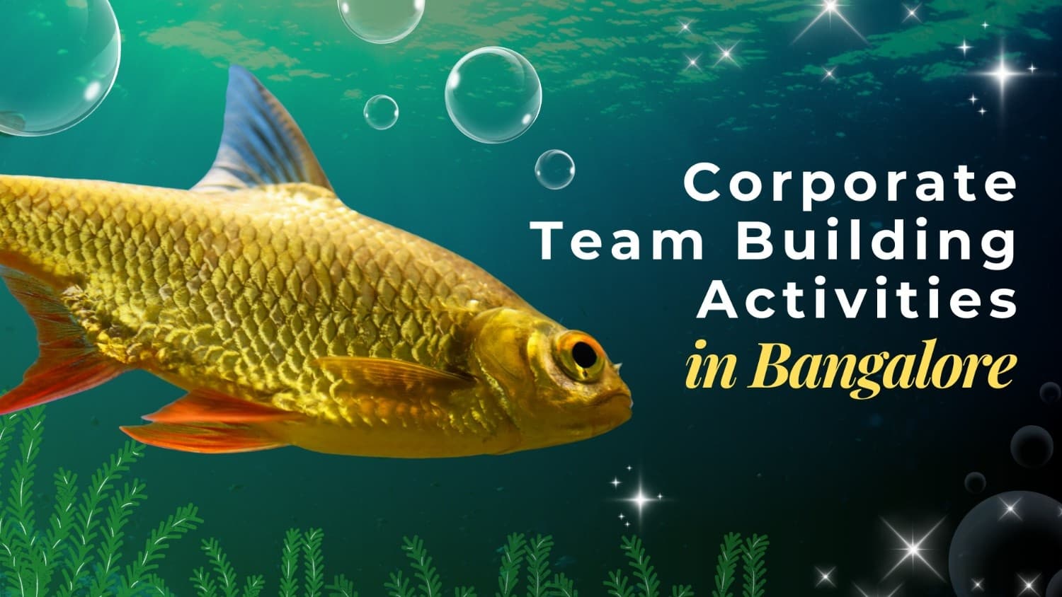 Corporate Team Building Activities in Bangalore