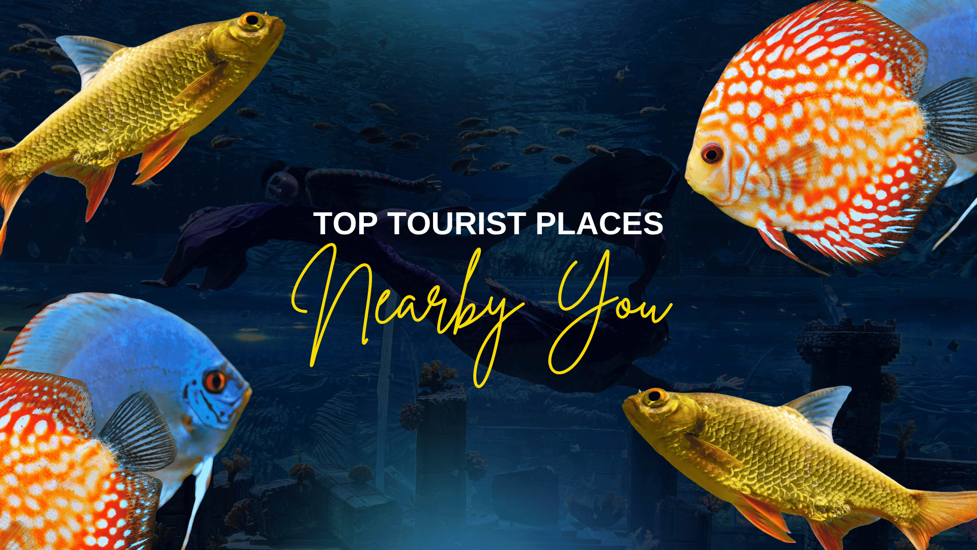 Scenic view inside Aquarium Paradise with marine life