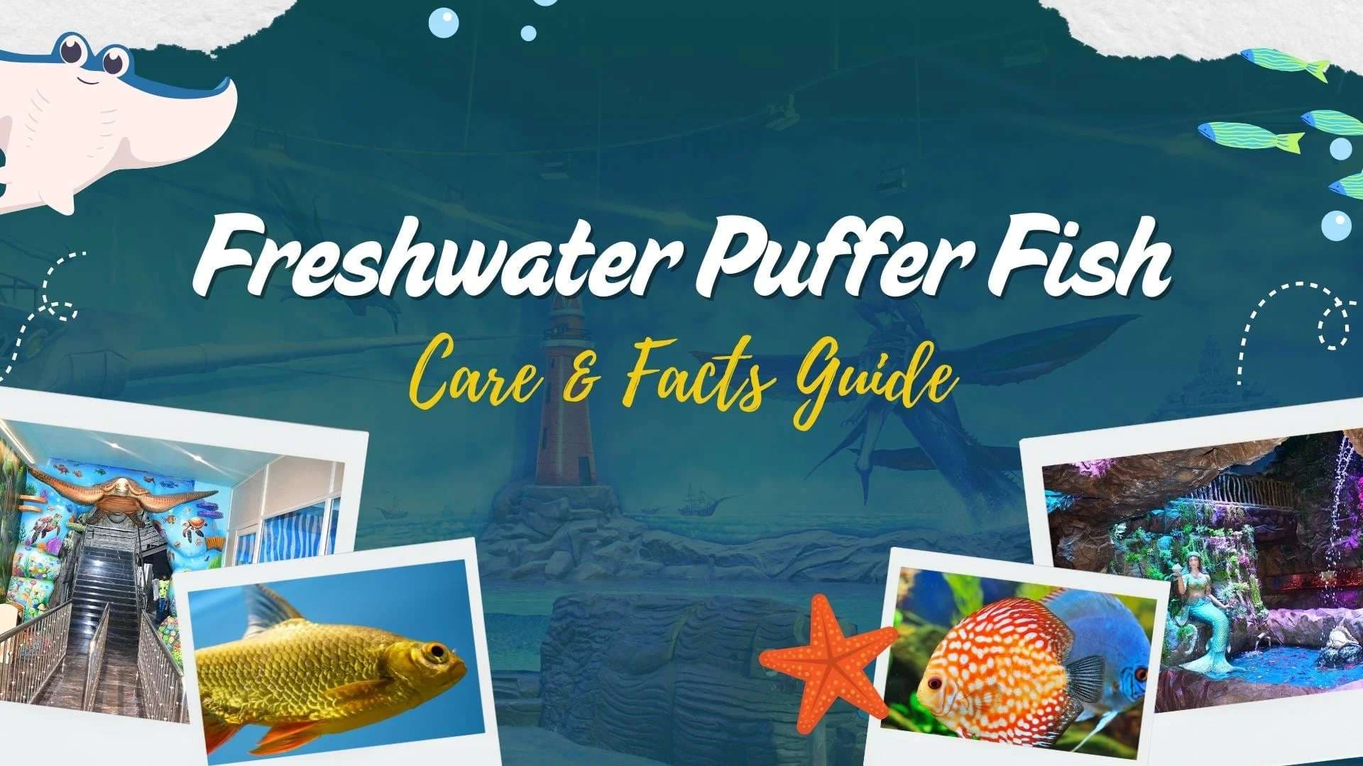 Freshwater Puffer Fish: Care & Facts Guide