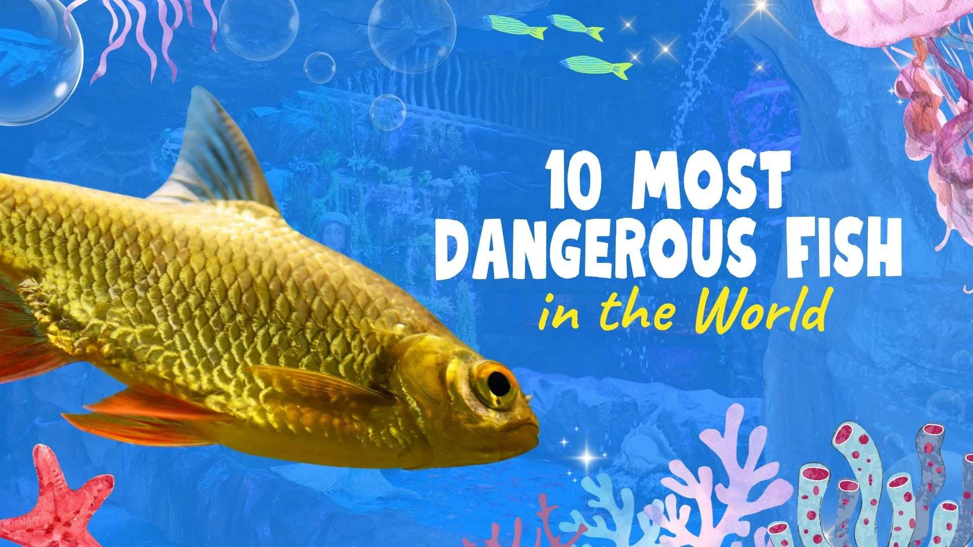 10 Most Dangerous Fish in the World