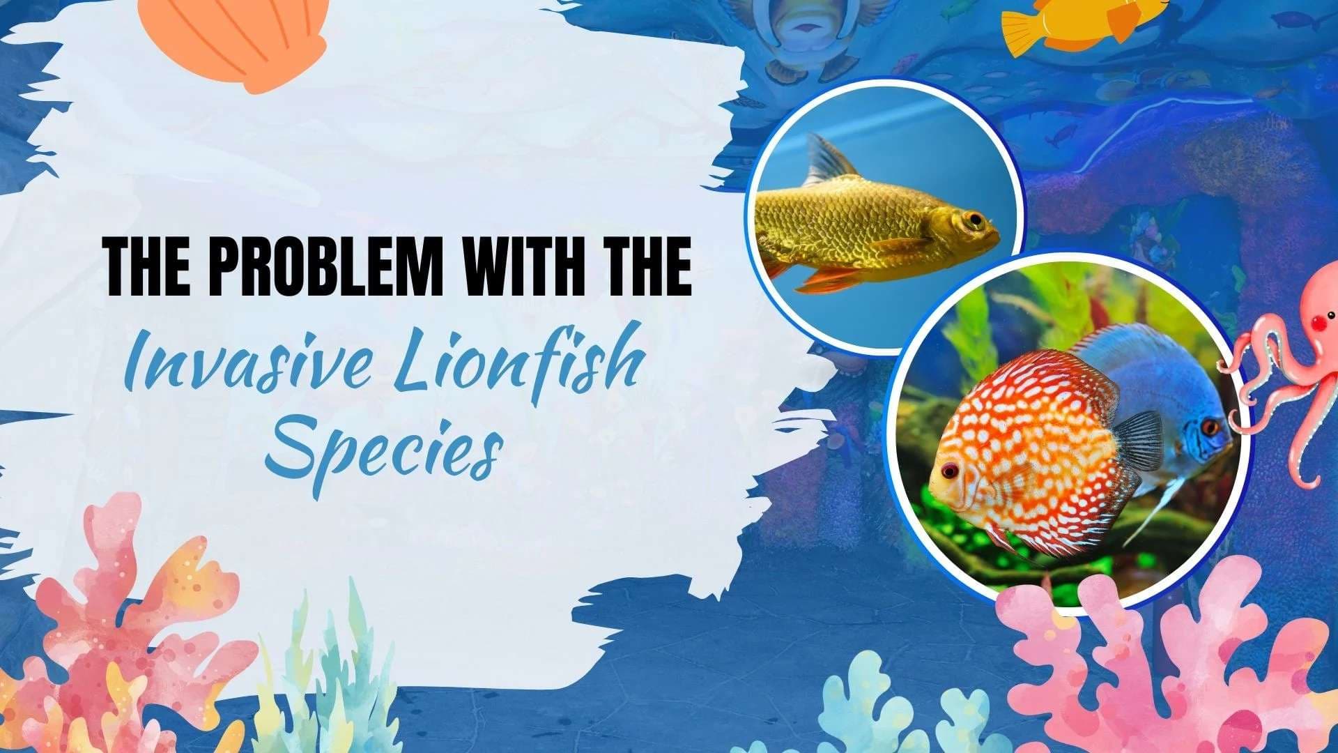 The Problem with the Invasive Lionfish Species