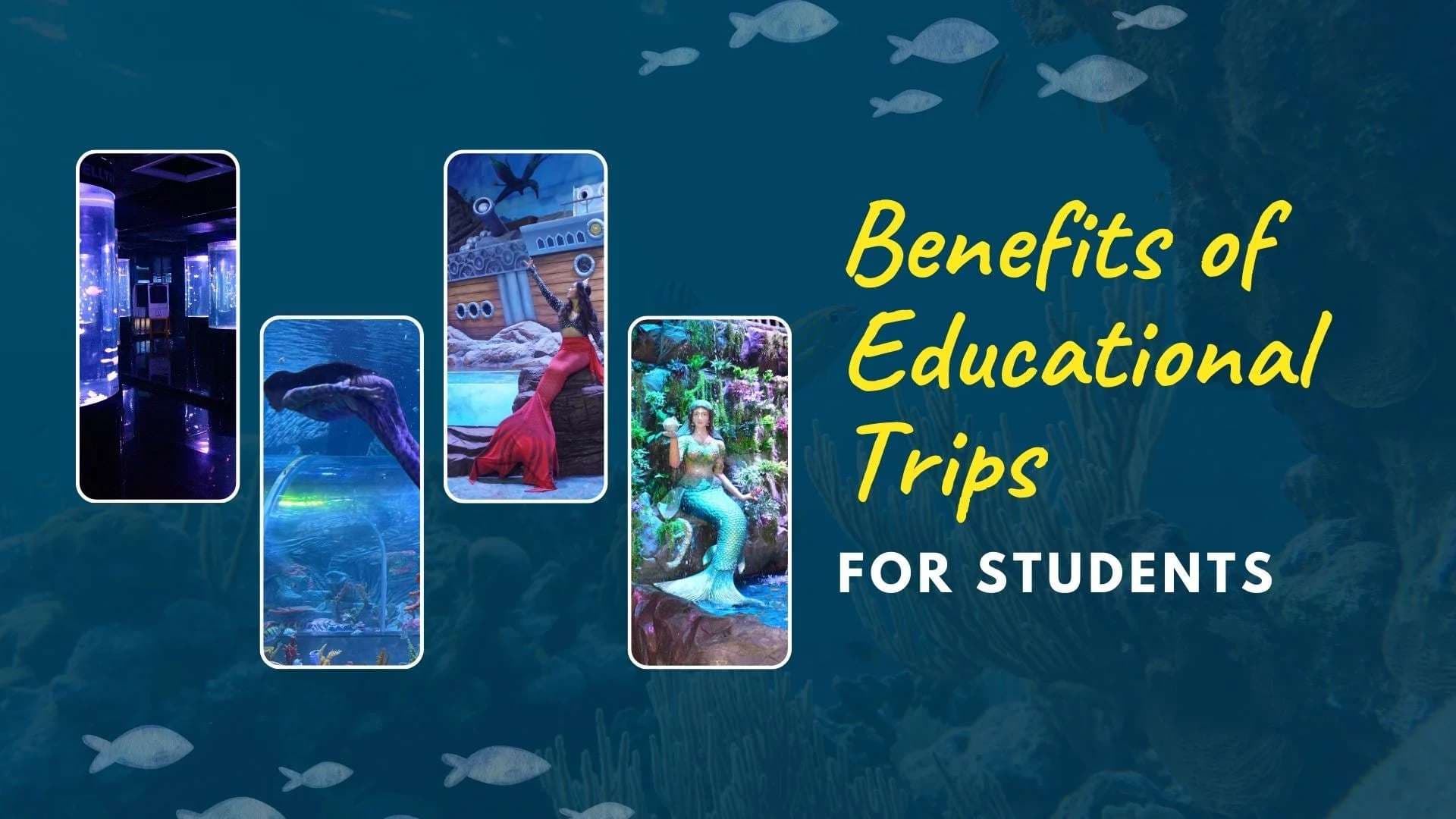15 Benefits of Educational Trips for Students in 2026
