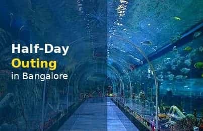 Half-Day Outing in Bangalore: Aquarium, Snow, and Adventure at One Address