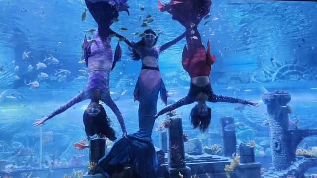 Magical Mermaid Show