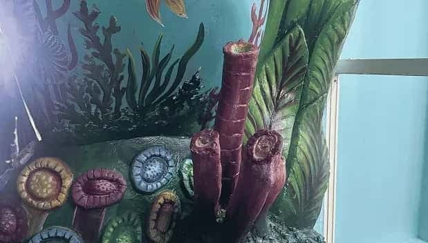 Aquarium Paradise Overview