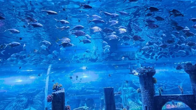 Largest underwater tunnel in India
