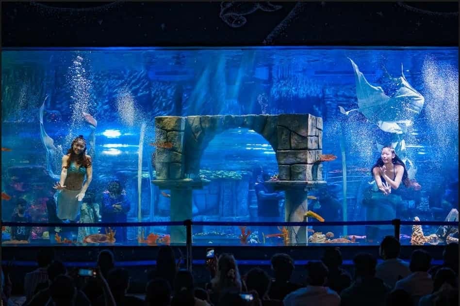 Aquarium Paradise Overview