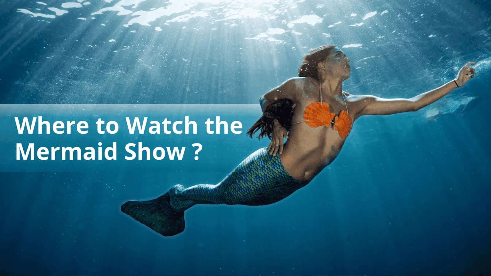 Mesmerising Little Mermaid Shows Near You