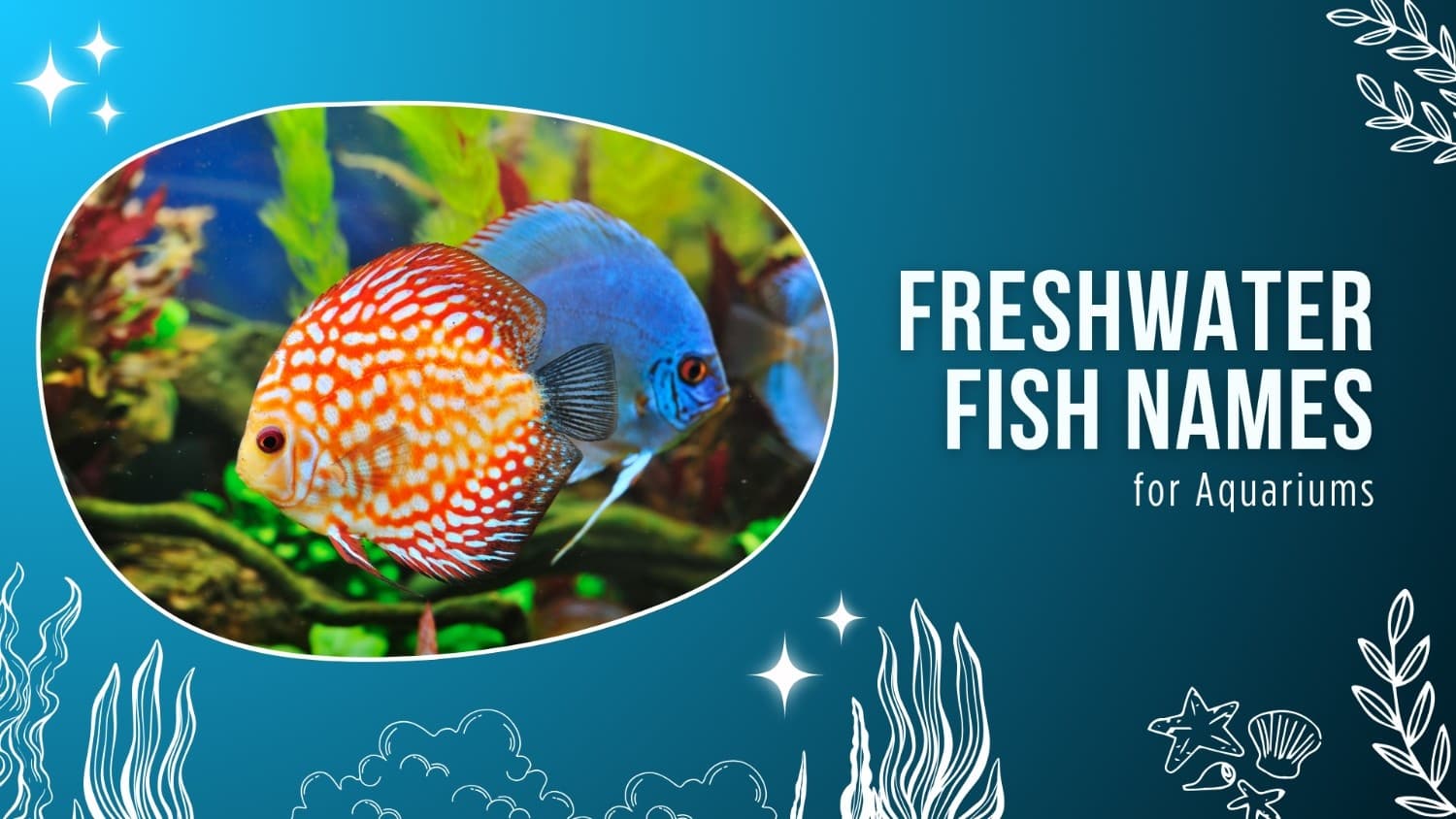 Scenic view inside Aquarium Paradise with marine life