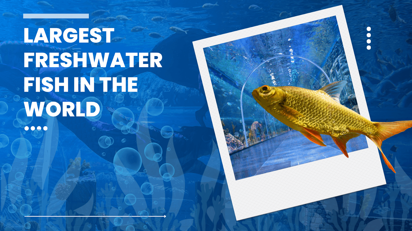 Scenic view inside Aquarium Paradise with marine life