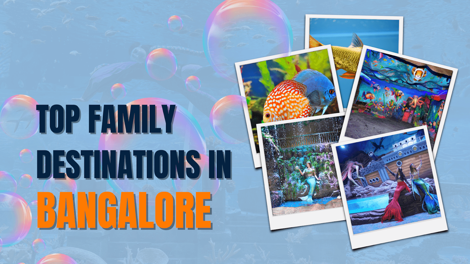 Scenic view inside Aquarium Paradise with marine life