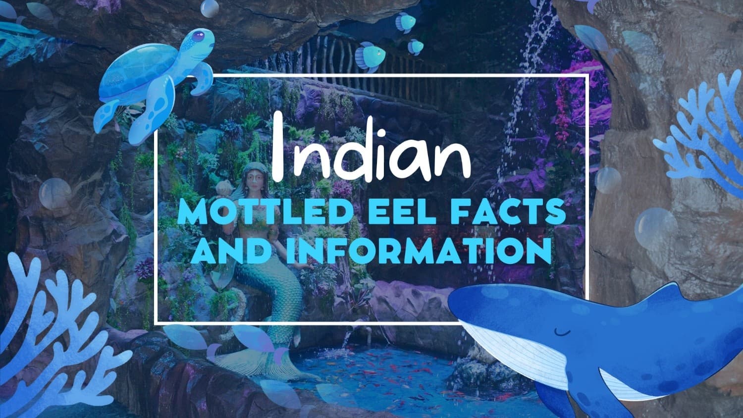 Indian Mottled Eel Facts and Information