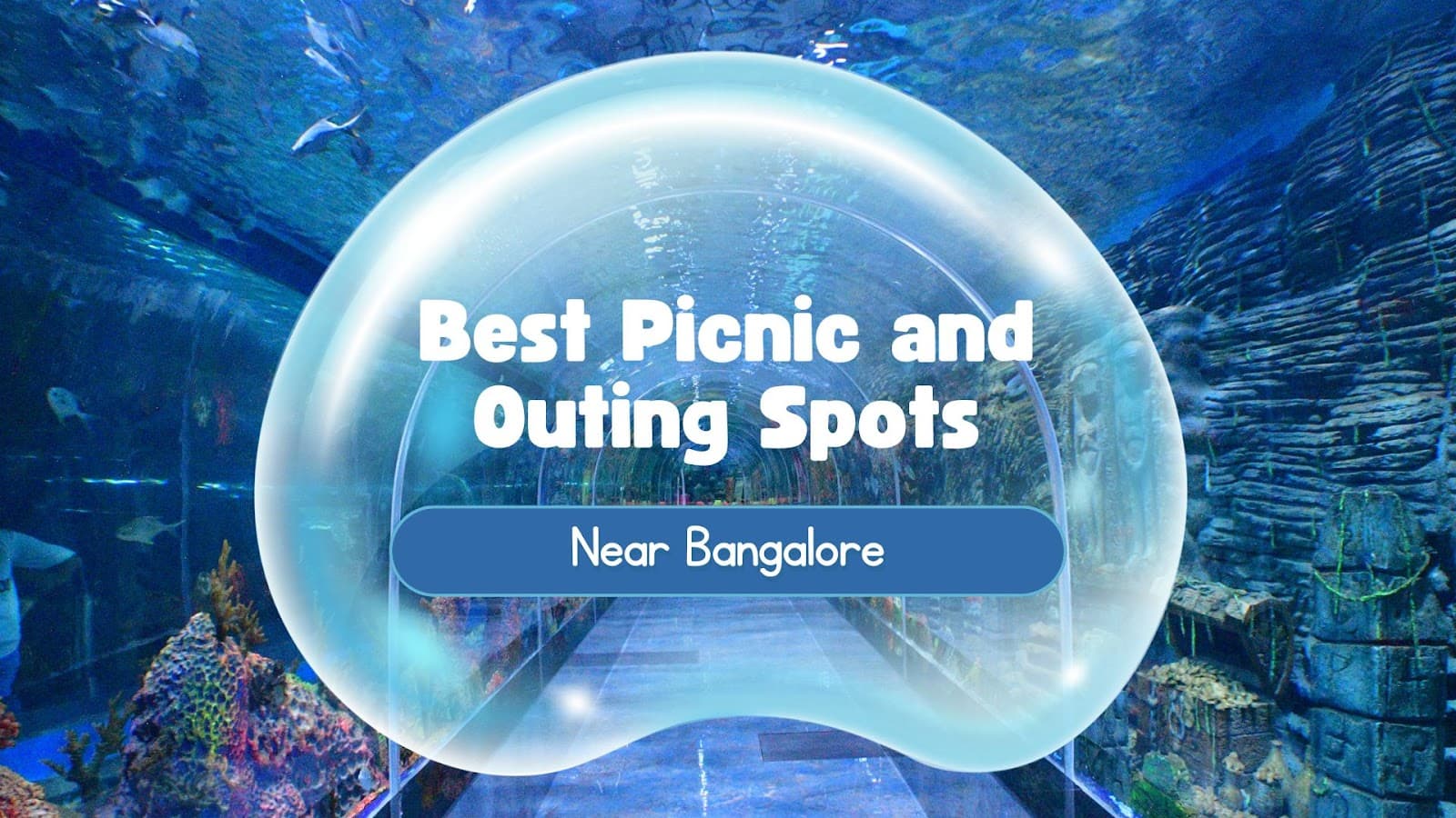 Best Picnic and Outing Spots Near Bangalore